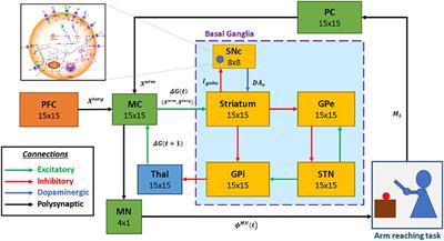 A Multiscale, Systems-Level, Neuropharmacological Model of Cortico-Basal Ganglia System for Arm Reaching Under Normal, Parkinsonian, and Levodopa Medication Conditions